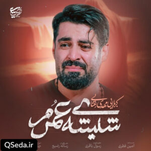 دانلود مداحی شیشه عمرم مهدی رعنایی
