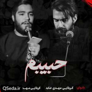دانلود مداحی حبیبم مهدی عابد