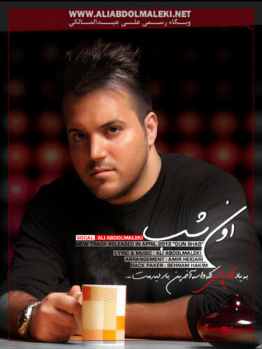 علی عبدالمالکی اون شب