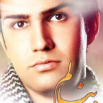 دانلود آهنگ علی زیبایی بنالم