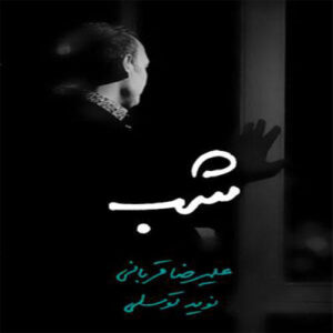 دانلود آهنگ علیرضا قربانی شب