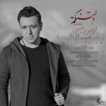 دانلود آهنگ امین رستمی دلتنگم