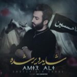 دانلود آهنگ امیر علی شاید دیر شده