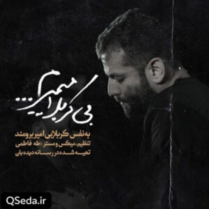 دانلود مداحی بی کربلا میمیرم امیر برومند