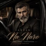 دانلود آهنگ فرهاد نه نرو
