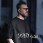 دانلود آهنگ گرشا رضایی دو پرنده
