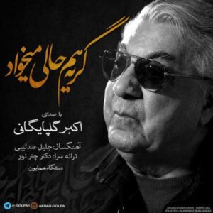 دانلود آهنگ گلپا گریه هم حالی میخواد