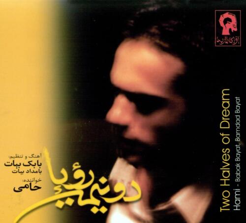 حمید حامی دلم گرفته (گیتار)