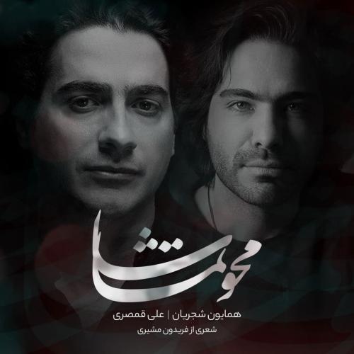همایون شجریان و علی قمصری محو تماشا