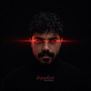دانلود آهنگ هونام گرگم کردی