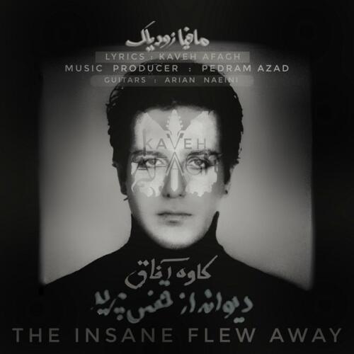 کاوه آفاق دیوانه از قفس پرید