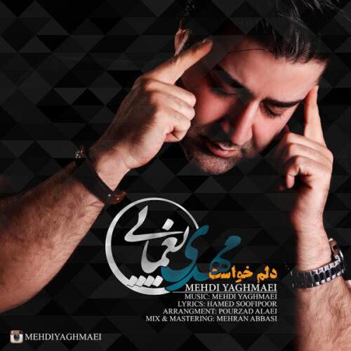 مهدی یغمایی دلم خواست