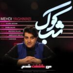 دانلود آهنگ مهدی یغمایی من عاشقت شدم