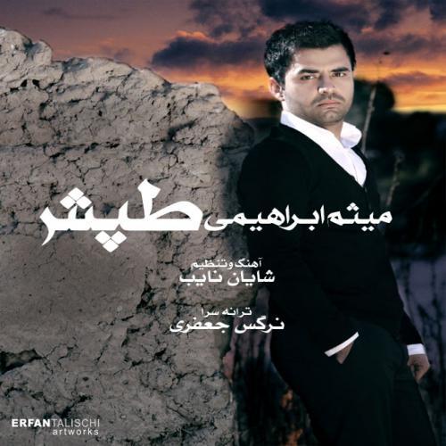 میثم ابراهیمی طپش
