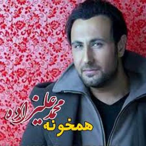 محمد علیزاده زمونه