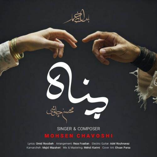 محسن چاوشی پناه