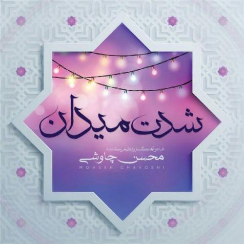محسن چاوشی شدت میدان