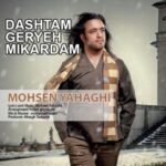 دانلود آهنگ محسن یاحقی داشتم گریه میکردم