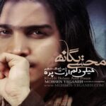 دانلود آهنگ محسن یگانه خیلی دلم ازت پره