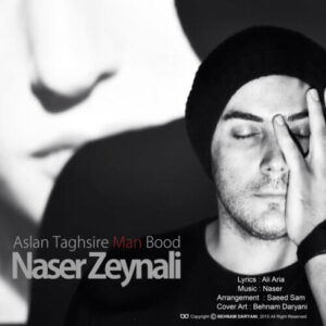 دانلود آهنگ ناصر زينلی اصلا تقصیر من‌ بود