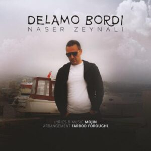 دانلود آهنگ ناصر زينلی دلمو بردی