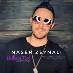 دانلود آهنگ ناصر زينلی دلبر ناب (ورژن گیتار)