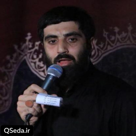 دانلود مداحی یه سال و نیمه که داداش نه یاری و نه یاوری سید رضا نریمانی