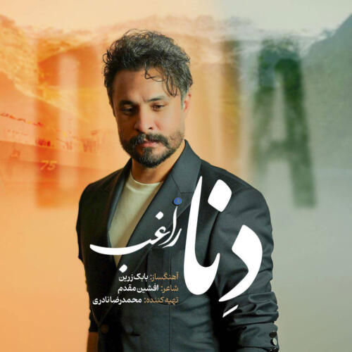 راغب دنا