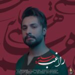 دانلود آهنگ راغب هم سایه