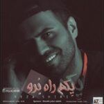 دانلود آهنگ رضا شیری یکم راه برو