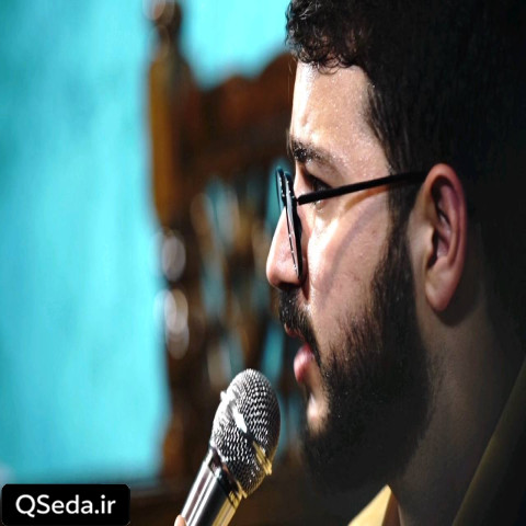 دانلود مداحی ذکر لب امام رضا سید محمدرضا نوشه ور