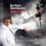 دانلود آهنگ سعید شهروز به هم نمیرسیم