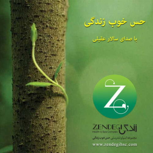 سالار عقیلی حس خوب زندگی