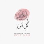 دانلود آهنگ شادمهر عقیلی گل من (اجرای زنده)