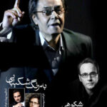 دانلود آهنگ شهرام شکوهی به رنگ شکیبایی