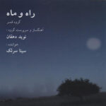 دانلود آهنگ سینا سرلک تار و کمانچه