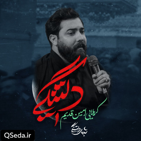 دانلود مداحی دلتنگی امین قدیم