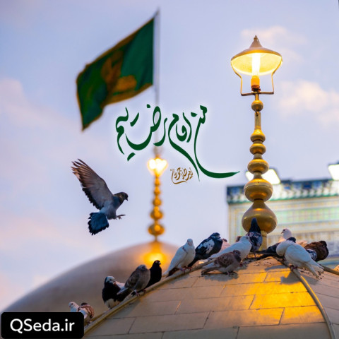 دانلود مداحی من امام رضاییم امیر طلاجوران