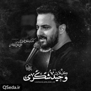 دانلود مداحی دلی که عاشقی نکرده وحید شکری