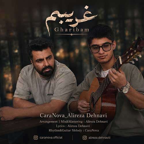 علیرضا دهنوی و کارانوا غریبم