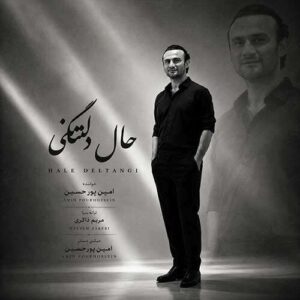 دانلود آهنگ امین پورحسین حال دلتنگی