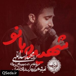 دانلود مداحی شهیده بانو محمد اسداللهی