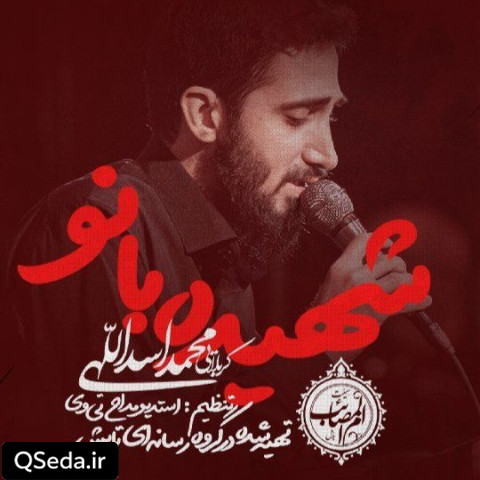 دانلود مداحی شهیده بانو محمد اسداللهی