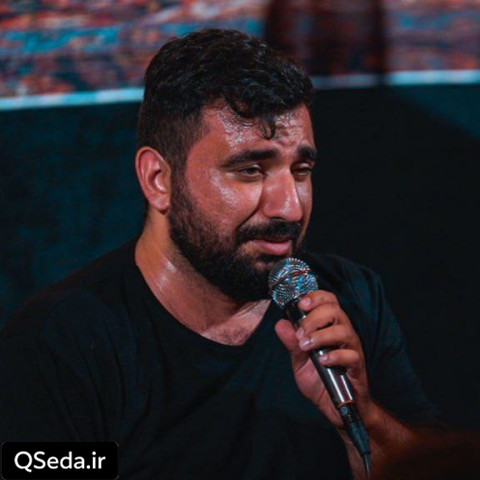 دانلود مداحی امام رضا میاد سر مزارم علی پوستین دوز