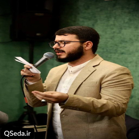 دانلود مداحی امام رضای خودم باش سید محمدرضا نوشه ور