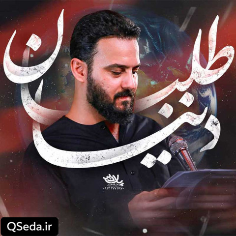 دانلود مداحی دنیا طلبان وحید شکری