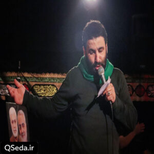 دانلود مداحی روز شهادتت به مشهد برای پابوس نرسیدم سید مهدی میرداماد